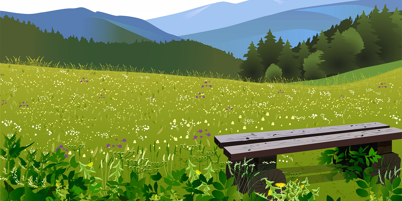 🌲 LEŚNA OPOWIEŚĆ 🌳 DLA CIEBIE ☀️